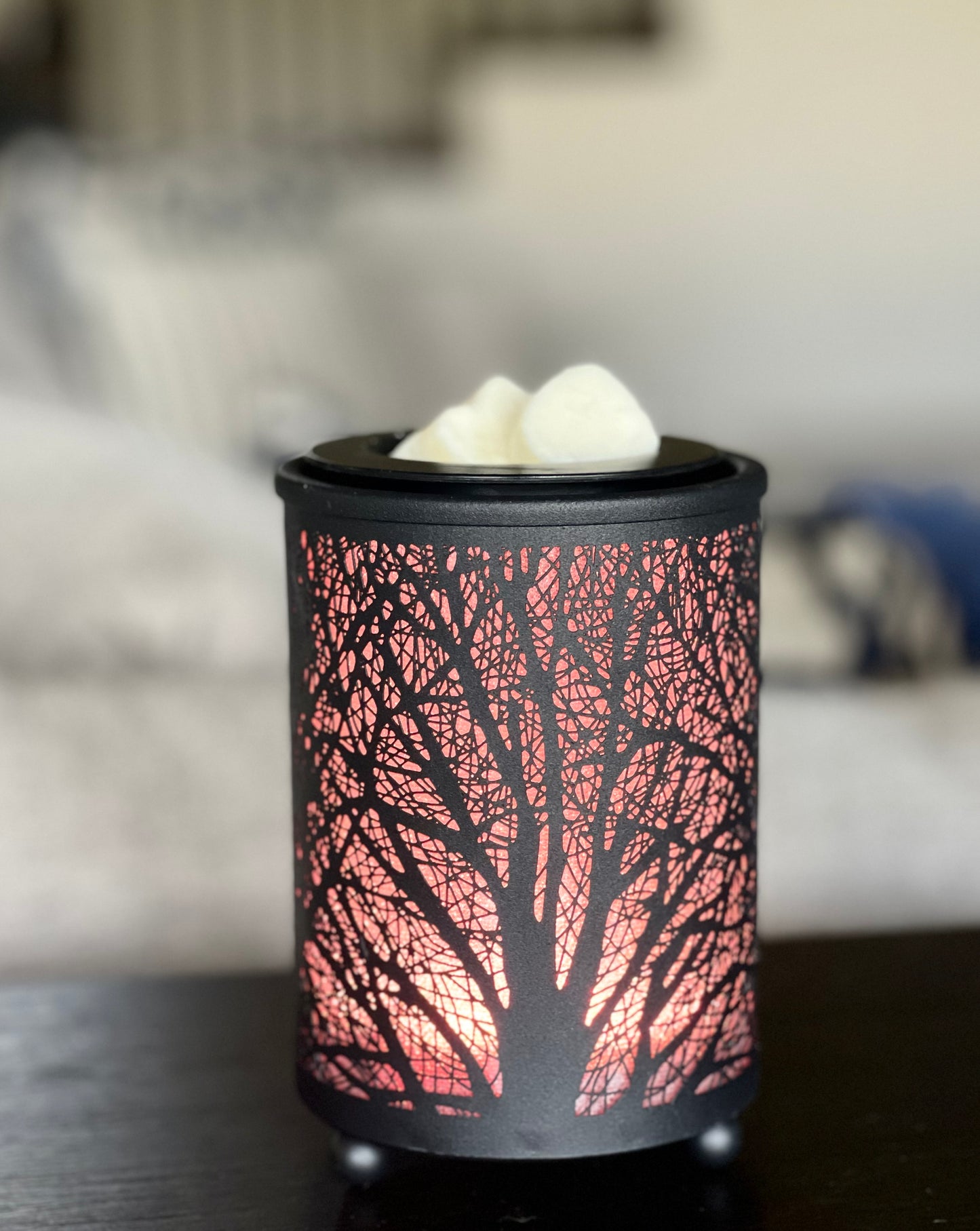 Electric Wax Melt Warmer with Changing Lights