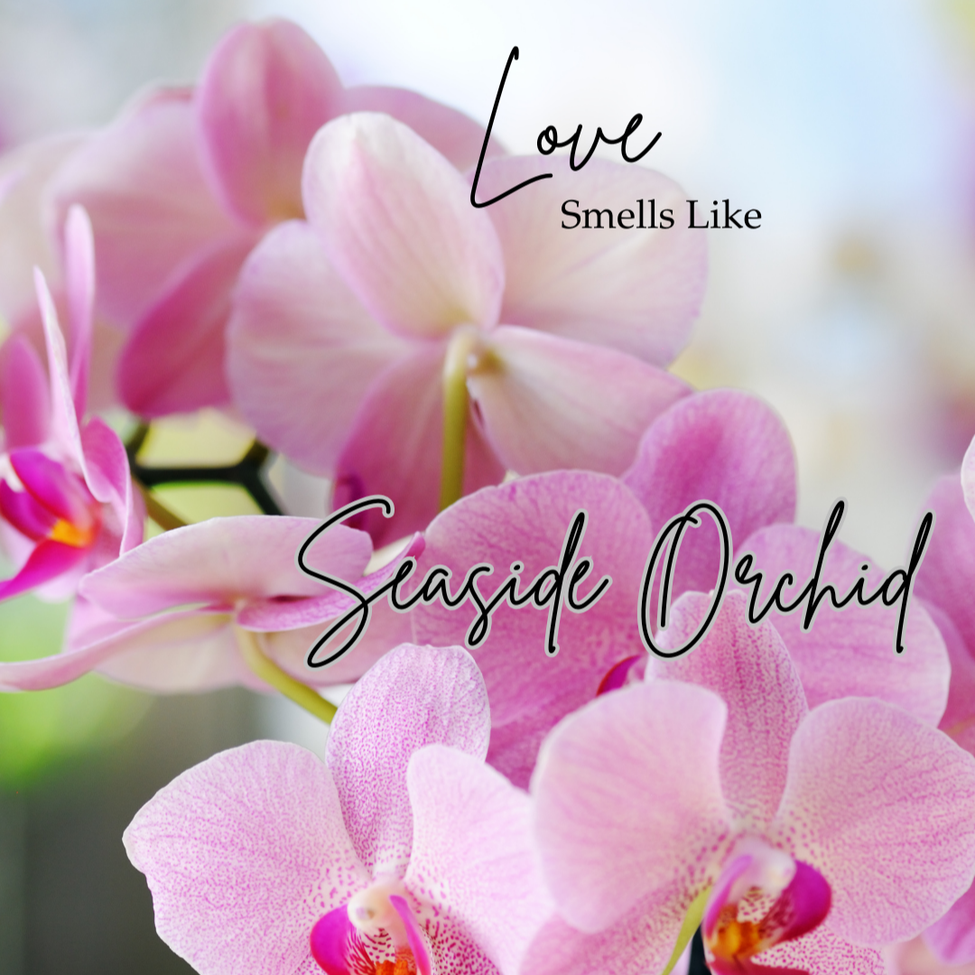 Love (Seaside Blossom)