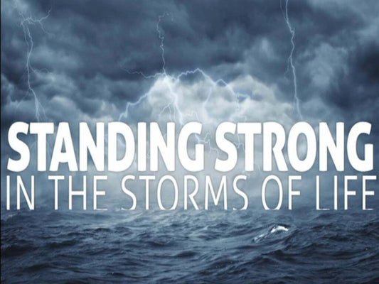 Navigating Life's Storms While Holding on to Your Dreams