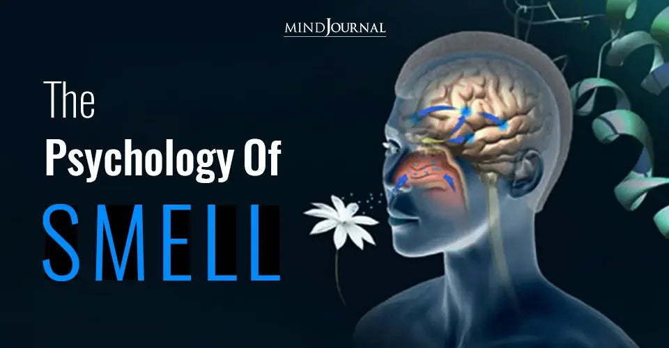 Illustration of human head with brain and olfactory pathways, white flower, text 'Psychology of Smell'.