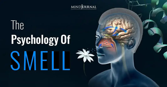 Illustration of human head with brain and olfactory pathways, white flower, text 'Psychology of Smell'.