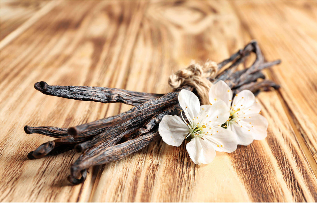 Vanilla beans and white vanilla orchid flowers on rustic wooden table