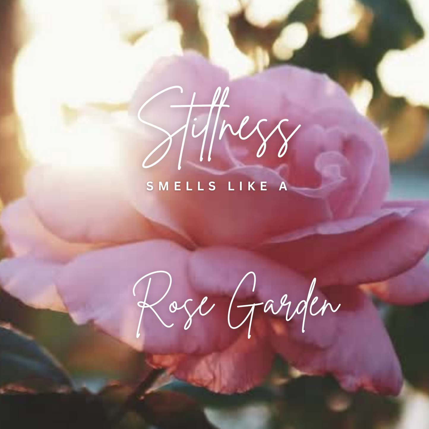 Stillness Soy Candle (Rose Garden)