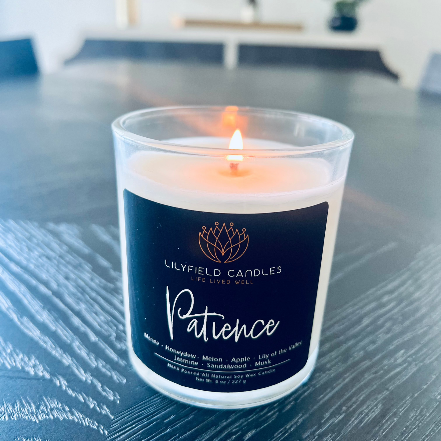 Patience Soy Candle (Coastal)