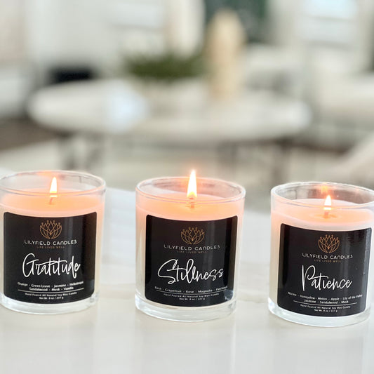 Virtue Collection of 3 Soy Candles (Rose Garden, Coastal and Vanilla Blossom)