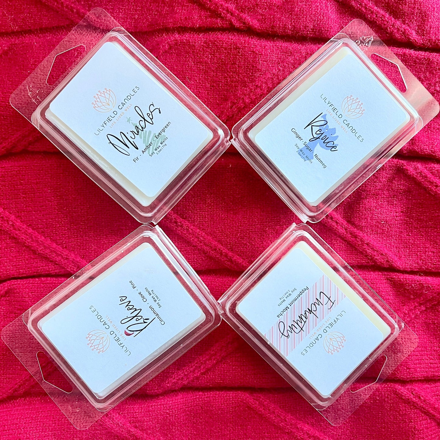 Christmas | Holiday Wax Melts- Cinnamon, Fraser Fir, Gingerbread & Peppermint Mocha