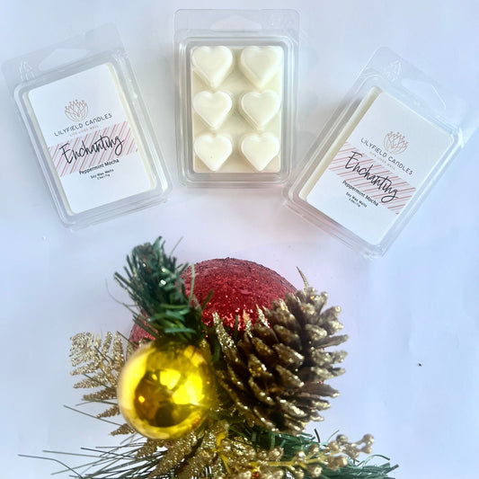 Christmas wax melts of pine cinnamon fir and ginger for holiday time soy wax melts for cozy Christmas home environment